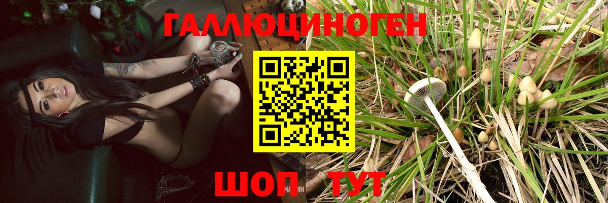 Псилоцибиновые грибы Magic Shrooms Воткинск